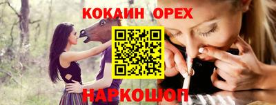 гашиш Кингисепп