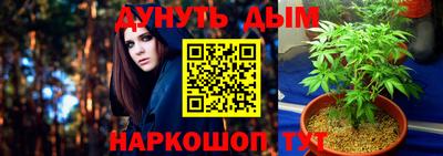 гашиш Кингисепп